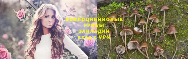 герыч Абдулино